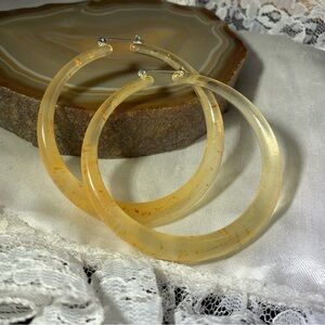 Chic Translucent Hoop Earrings
